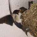 20090610001823.jpg
