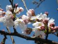 20100327162332.jpg