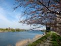 20100327163418.jpg