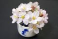 20100329170534.jpg