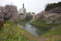 20100331153751.jpg