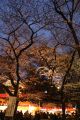 20100331182905.jpg