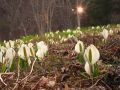 20100504232134.jpg