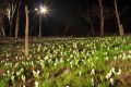 20100504232528.jpg