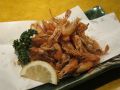 20100515203849.jpg