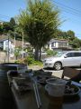 20100828122823.jpg