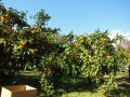 20101211094624.jpg