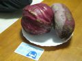 20101211161841.jpg