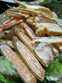 20110109185254.jpg