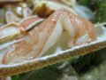20110109185521.jpg