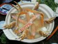 20110109200525.jpg