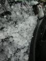 20110110090543.jpg
