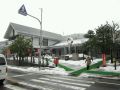 20110110114210.jpg