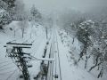 20110110124352.jpg