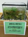 20110110222118.jpg