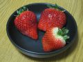 20110223221545.jpg