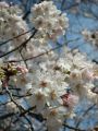 20110402141110.jpg