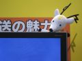 20110527100450.jpg