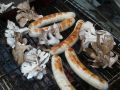 20110717181854.jpg