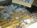20110807132412.jpg