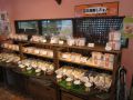 20110919175727.jpg