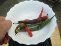 20111112133838.jpg
