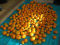 20111210132413.jpg