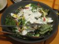 20120104172918.jpg