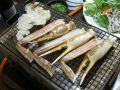 20120107182548.jpg
