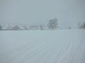 20120204083514.jpg