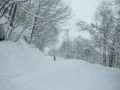 20120204121405.jpg