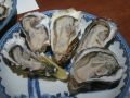 20120218193141.jpg
