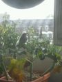 20120312140326.jpg