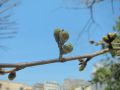 20120327115441.jpg