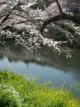 20120406153235.jpg