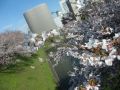 20120406153348.jpg