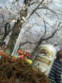 20120406153507.jpg