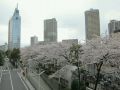 20120407140837.jpg