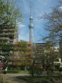 20120415142258.jpg