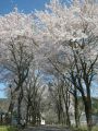 20120428151811.jpg