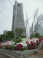 20120501111317.jpg