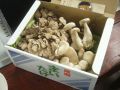 20120729132945.jpg