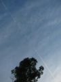 20120810173537.JPG