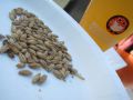20120819154608.JPG