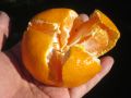 20151205101153.jpg