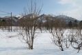 20160314091908.jpg