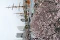20160402113030.jpg