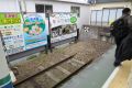 20160410165401.jpg