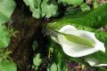 20160502131134.jpg