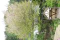 20160502143113.jpg
